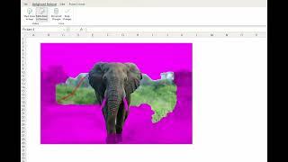 Excel Quick Tip:  Mastering Image Background Removal in Excel!