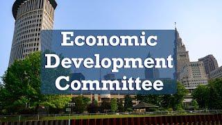 2024.07.22 Economic Development & Planning Committee Meeting