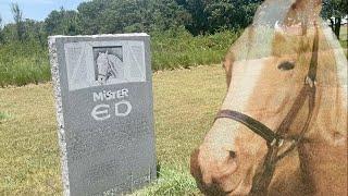 Mr. Ed's Haunted Grave - The Talking Horse