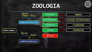 Zoología, introducción y clasificación, 23-08-21