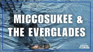 Protecting the Everglades with the Miccosukee Tribe l Your South Florida