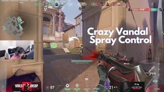 SEN TenZ Crazy Vandal Spray Control