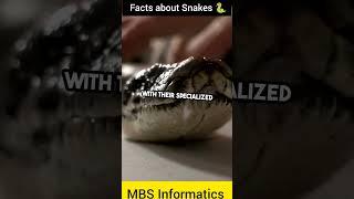 Mind blowing facts about Snakes | Snakes #trending #facts #information #animals