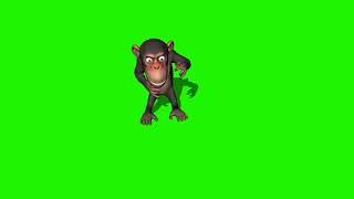 Dancing monkey green screen.