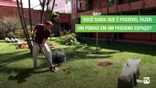 Minuto da Sustentabilidade | Horta e pomar juntos