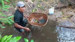 ngobok-obok sarang ikan di bawah hungkap paritan warga ( asik-asik ngasisik )