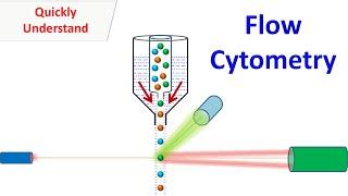 Flow Cytometry