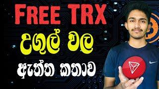 Tron Mining Web Site | Cloud Mining Site Scam Problems | Free Tron වලට අහුවෙන්න කලින් බලන්න