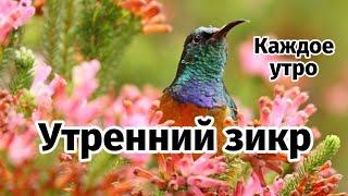 УТРЕННИЙ ДУА أذكار الصباح ЗАЩИТИТЬ ВАС ВЕСЬ ДЕНЬ | СЛУШАЙТЕ КАЖДОЕ УТРО!