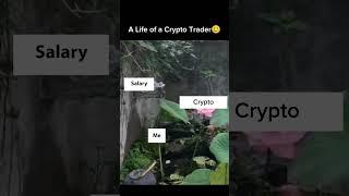 Life of Crypto Trader  #crypto #shorts