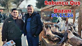 Sabunçu Quş Bazarı 24 noyabr 2024