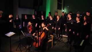 Yves Vroemen - Impact | Flora & Fauna (Ensemble & Choir)