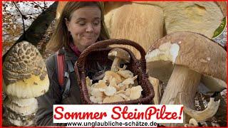 Sommersteinpilze, Zitterzahn & Kraterellen Pilze finden mehr als man essen kann! November 2024