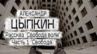 Александр Цыпкин рассказ "Свобода воли"   Часть 1 "Свобода" Читает Андрей Лукашенко