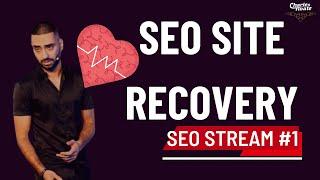 SEO Website Recovery Guide by Kasra Dash - SEO Stream #1