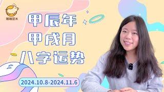 甲辰年甲戌月（24.10.8-24.11.6）八字运势【精华版】木土打架能量非常混乱猪猪运势