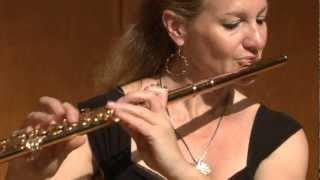 David Sampson - Undercurrents for solo flute