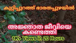 കുറ്റിപ്പുറം ഭാരതപ്പുഴയിൽ അജ്ഞാത ജീവി.. യുടെ സാനിധ്യം | PhotoLooz Exclusive  | Augmented Reality