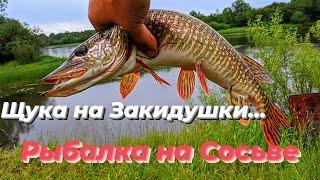 Закидушки на щуку.Рыбалка на Сосьве 2021.