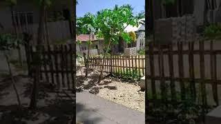 TANTE LALA NGECEK PEMBANGUNAN RUMAH DI GORONTALO