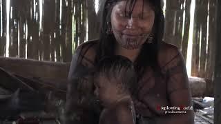 Documentary  Tears Of The Girls In Amazon Tribal Language