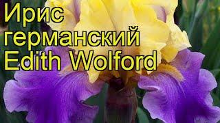 Ирис германский Эдит Вофорд. Краткий обзор, описание характеристик iris germanica Edith Wolford