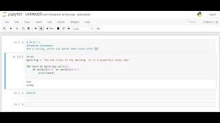 Python Drill 7: Capitalize first and fourth letter in a word