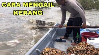 CARA MENCARI KERANG DI LAUT