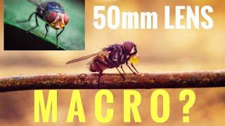 Macro Photography with 50mm lens TEST!!!  Jaypee Deles Official