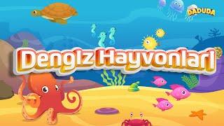 Dengiz Hayvonları - Sea Animals