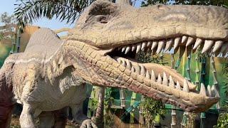 Indian Sea Shell Museum | Dinosaur Park Teaser | Mahabalipuram | CK Sphere