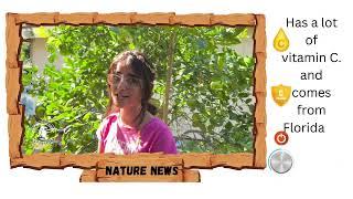 Nature News #8  Grapefruit  Amani