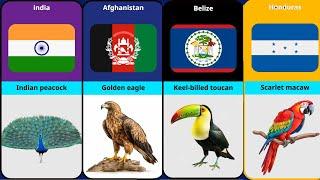 National Birds From Different Countries (120)