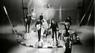 The Animals - Bring It On Home To Me (Live, 1965) 