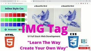 How to insert images from folder into Your Website with HTML5 & CSS3 | Tutorial