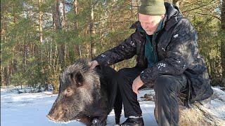 Эта встреча с лесным ЗВЕРЕМ ИЗМЕНИЛА МОЮ ЖИЗНЬ | Обустройство землянки | бушкрафт | Bushcraft.