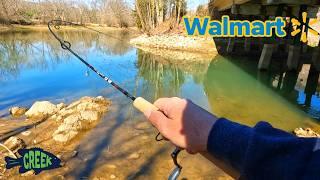 ULTIMATE Walmart Ultralight Fishing Combo