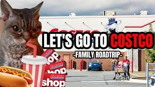 CAT MEMES: LET'S GO TO COSTCO!!!