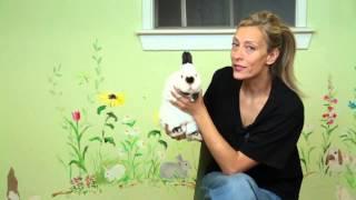 Are Dwarf Rabbits Good Pets? : Rabbit Care