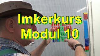 Imkerkurs Modul 10