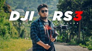 DJI RS3 REVIEW | Gimbal yang SEMPURNA ..?