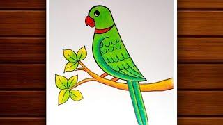 Parrot Drawing || How to Draw Parrot Step by Step for Beginners || Bird Drawing Colour.