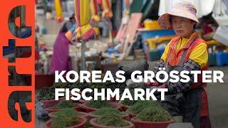 Südkorea: Der Fischmarkt | Märkte der Welt | ARTE Family