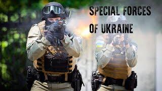 Special Forces of Ukraine - Спецназ України