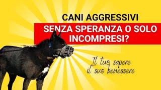 Cani aggressivi, cani senza speranza o solo cani incompresi?