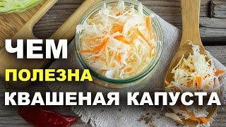 Польза квашеной капусты для организма, чем полезна квашеная капуста