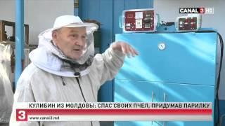 Изобретатель из Молдовы придумал как спасти пчёл от клеща