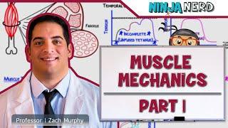 Musculoskeletal System | Muscle Mechanics | Twitch, Summation, & Tetanus