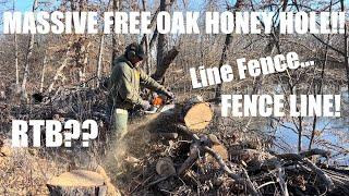 Huge Free Oak Discovery!! Testing The Waters!! #firewood