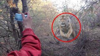 30 Scariest Tiger Encounters of The Year (Part 2)